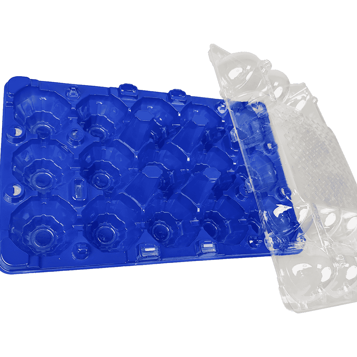 彩色底部和透明盖PET 15鸡蛋纸箱适合家庭存放