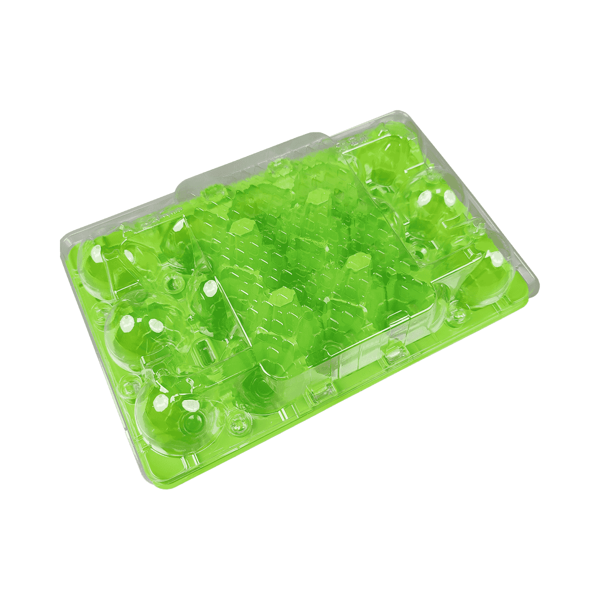 彩色底部和透明盖PET 15鸡蛋纸箱适合家庭存放