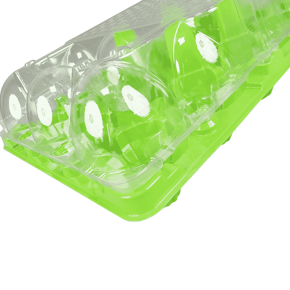 彩色底部和透明盖PET 15鸡蛋纸箱适合家庭存放