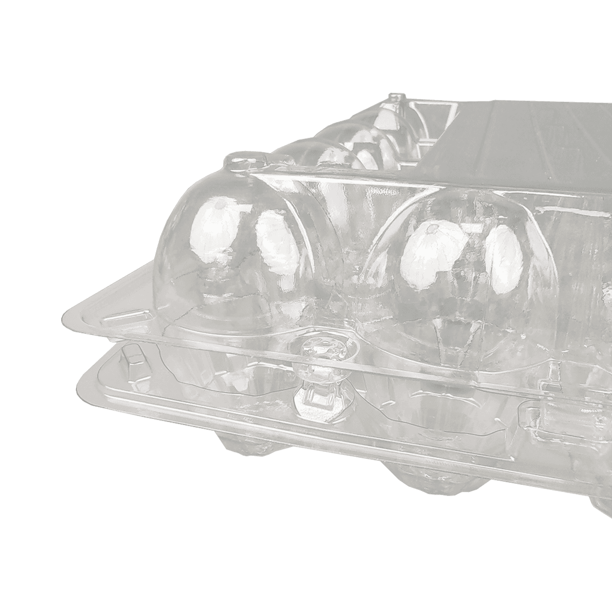 可重复使用的PET环保安全25个鸡蛋纸箱