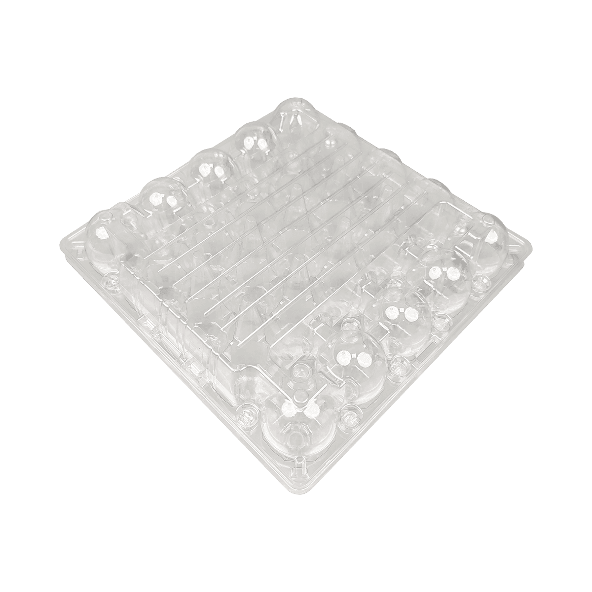 可重复使用的PET环保安全25个鸡蛋纸箱