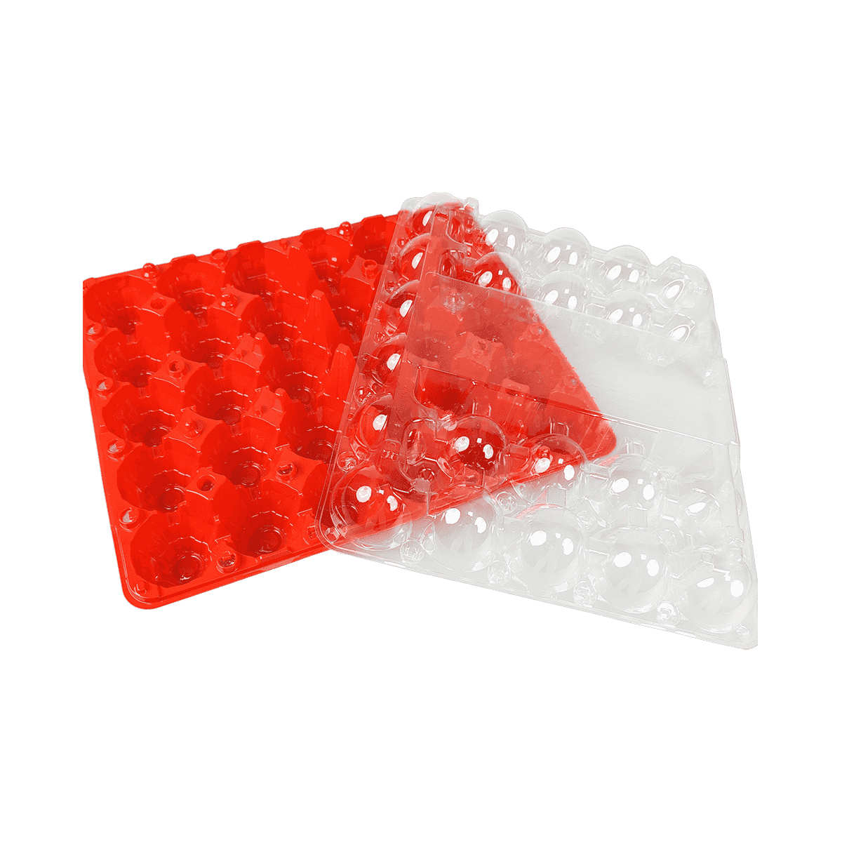 环保彩色底盘透明盖PET 30鸡蛋纸箱保护鸡蛋